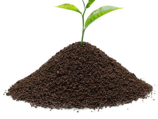 Ceylon-Black-Tea-Powder-Tea-Dust-Kenya-Ctc-Black-Tea