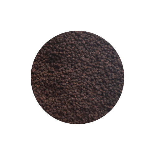 InShot_20210516_200932671-removebg-preview