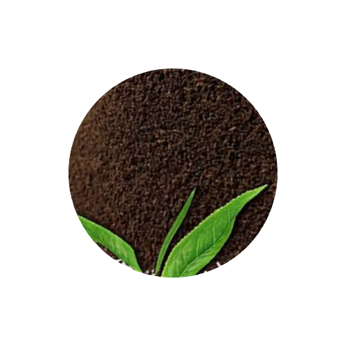 InShot_20210516_233437399-removebg-preview