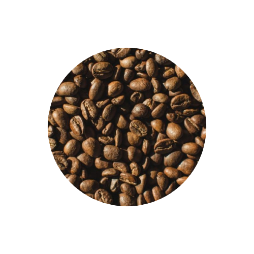 InShot_20210516_234153808-removebg-preview