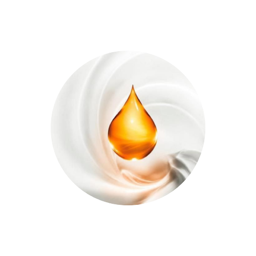 InShot_20210516_235039923-removebg-preview